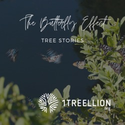 Episode 60 / The Butterfly Story of the Power of Families to Rewrite Our Climate Story Hosting Sally Giblin