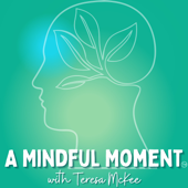 A Mindful Moment - A Mindful Moment