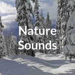 Nature Sounds