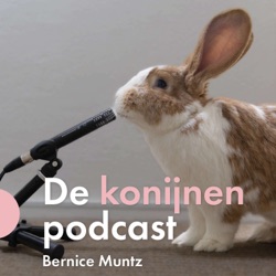 Over mijten bij konijnen met Dierenarts Femmie Veragten