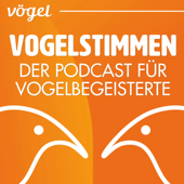 Vogelstimmen - Dr. Nina Krüger