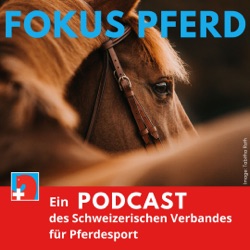 Im internationalen Pferdesport ist die Schweiz ein grosser Player
