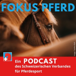 Die Ausbildung von Pferd und Reiter*in geht mit der Zeit.