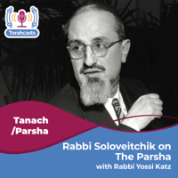 The Rav on Purim 