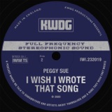 Peggy Sue - I Wish I Wrote That Song