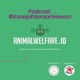  Podcast #KesejahteraanHewan Animal Welfare Indonesia