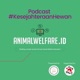 Eps 65 - Four Paws Shelter Adoption Programme