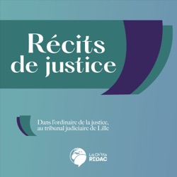 Récits de justice #1 - Arrêté par la douane franco-belge, il est jugé pour détention et transport de kétamine