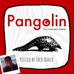 Pangolin: The Conservation Podcast