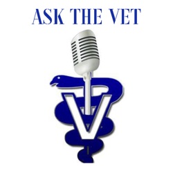 Ask the Vet: Dental Health