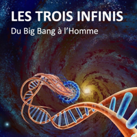 LE CHANOINE GEORGES LEMAITRE PREDIT LE BIG BANG