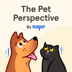 Essential Feline Instincts: Why the indoor cat doesn’t exist with Feline Behaviour Expert, Dr Sarah Ellis #9