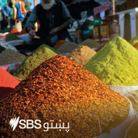 SBS Pashto - اس بي اس پښتو podcast