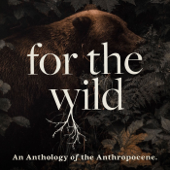 For The Wild - For The Wild