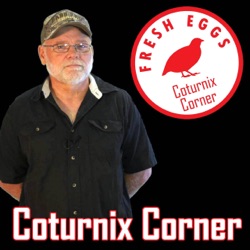 Coturnix Corner Podcast