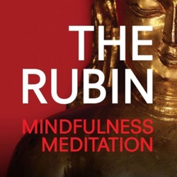 Mindfulness Meditation with Swami Chidananda 03/14/2024