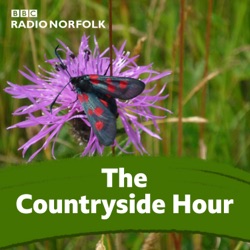 Countryside Extra: Warm Weather and Orchids