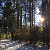 Public Lands Podcast podcast