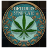 Breeders Syndicate 2.0 - Matthew Riot
