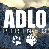 Asociación por la Defensa del Lobo y el Oso en el Pirineo - ADLOPIRINEO