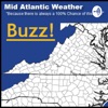 Mid Atlantic Weather Buzz artwork