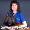 Get Pawsitive Results on Pet Life Radio (PetLifeRadio.com) artwork