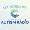 Springbrook's Converge Autism Radio artwork