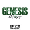 Genesis 37-50 artwork