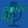 Pony 411 artwork