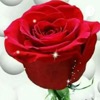 Jaise Beez Me