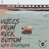 Voices From Rock Bottom artwork