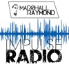 Impulse Radio artwork