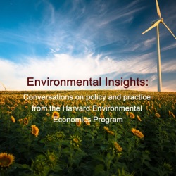 Natural Resources & Environmental Economics: A Conversation with Geoffrey Heal