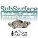 SubSurface: Resisting Montana's Underwater Invaders