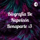 Biografía De Napoleón Bonaparte :3 