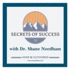 Secrets of Success Podcast artwork