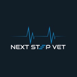 1. Am I the Only Vet Stuck in My Veterinary Career?