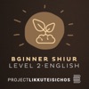 Beginner Shiur Level 2 artwork