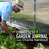 Connecticut Garden Journal - Connecticut Public Radio