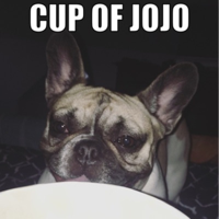 Cup of JoJo podcast