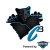 C3 Panthers Podcast: Carolina Panthers artwork