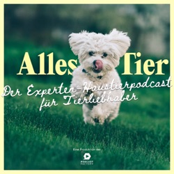 Tiere und Transport – Theresa Kuen