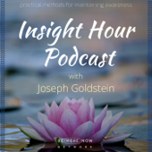 Insight Hour with Joseph Goldstein - Be Here Now Network