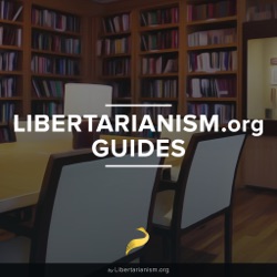 Libertarian Public Policy: 11: Economics and Public Policies