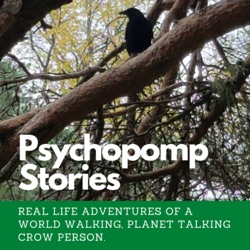 Psychopomp Stories: Tales from the Metaphysical Realms