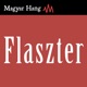 Flaszter 288. – Ezért támadja a Fidesz Magyar Pétert