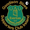 Goodison Blues Ireland artwork