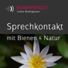 Sprechkontakt | Bienengespräche artwork