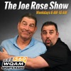 The Joe Rose Show artwork