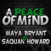 Peace of Mind Podcast artwork